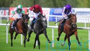 Memories of ‘phenomenal’ Roaring Lion still burn brightly for Murphy