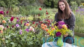 TV gardener Rachel de Thame on beautiful blooms for autumn and winter