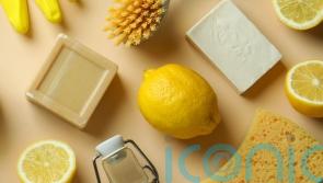3 things you can clean in the home with a lemon