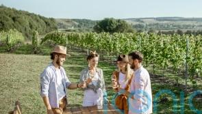 How to know the style of wine that’s right for you