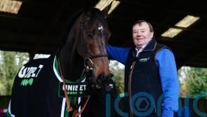 Constitution Hill in &lsquo;particularly good form&rsquo; after wind operation