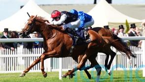 Resurgent Kyprios looking to snatch back Irish St Leger title