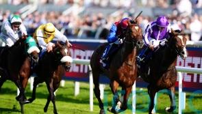 Jan Brueghel digs deep to give O’Brien an eighth St Leger