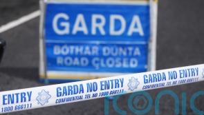 Garda deploy unmarked HGV to target distracted driving