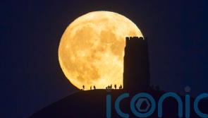 How the harvest supermoon will influence these 3 star signs’ relationships