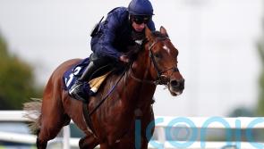 City Of Troy comes through Southwell gallop with flying colours