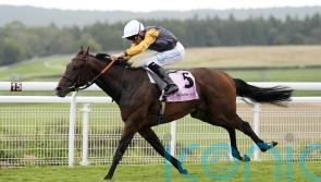 Witness Stand makes Tom Clover’s day at Newbury
