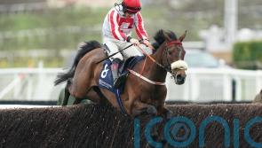 The Real Whacker ready for Kerry National test
