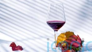6 rich red wines for Sunday roasts