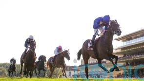 Fantastic Moon’s Arc bid hinges on suitable ground