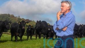 Michael O’Leary ‘astonished’ by green power of his farm’s solar panels
