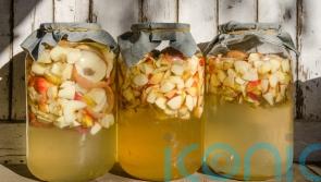 How to preserve your apple harvest