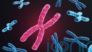 What is Fragile X syndrome and how do you know if you carry it?