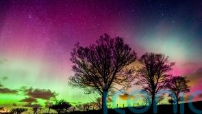These are the best places in the UK to see the northern lights
