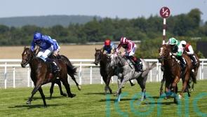 Palmer looking for Wolf Of Badenoch to show true worth