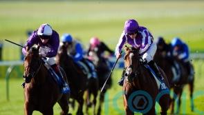 Merrily provides Oh So Sharp cheer for O’Brien