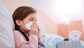 How to keep your child healthy during term time