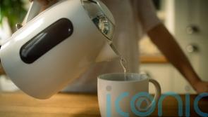 What’s lurking in your kettle if you don’t wash it?