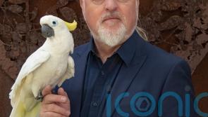Armadillos, cockerels, whales and more: The ‘profound effect’ animals have had on Bill Bailey’s life