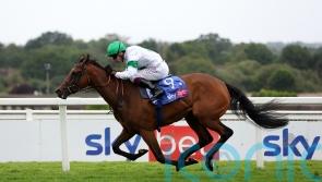 Murphy relishing Tamfana reunion at Ascot