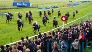 Alphonse Le Grande camp appeal against Cesarewitch sanctions