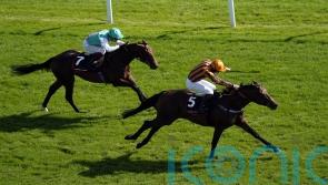 Teal encouraged by Dancing Gemini’s Ascot effort