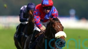 Big hopes of Breeders’ Cup double for Evs