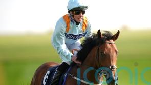 The Dragon King to continue in Middleham Park colours