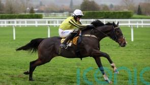 Greatwood aim for Burdett Road back at Cheltenham