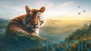 How Attenborough is putting Asia firmly on the wildlife map