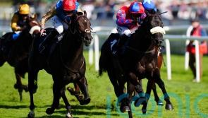 Wathnan juveniles all set for Breeders’ Cup battle