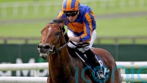 Henry Longfellow added to list of Coolmore stallions