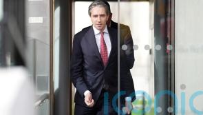 US and EU &lsquo;need each other&rsquo;, says Irish premier after Trump election win