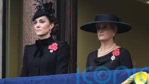 Princess of Wales pays tribute in military-style dress coat at Remembrance service