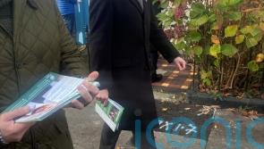 Fianna Fail and Fine Gael &lsquo;marginalising&rsquo; Green Party, claims leader