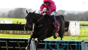 Olly Murphy has grand plans for easy Bangor winner Junker d’Allier