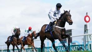 Henderson happy with assurances Newcastle ground will be ‘fine’ for Constitution Hill