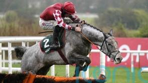 Nicholls lining up Newbury as eagerly-awaited starting point for Caldwell Potter