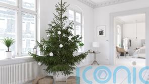 How to have a minimalist Christmas: Less clutter more joy