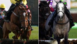Mullins’ stars out in force at Punchestown