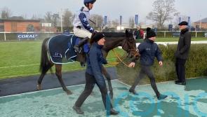 Brentford hope for cricketing ace against Sir Gino and Mystical Power