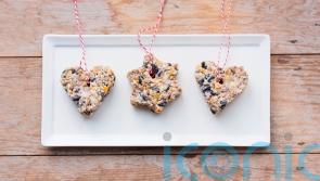 Give your garden wildlife some home-made Christmas treats
