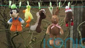 What germs are lurking in your children’s toys?