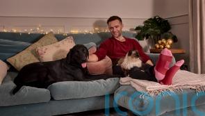 McFly’s Harry Judd: ‘I draw the line at the dog sleeping in our bed’
