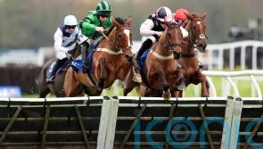 British racing linking up with Royal Veterinary College to improve welfare