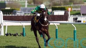 ‘Hugely exciting’ Majborough over fences for the first time at Fairyhouse