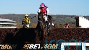 Haiti Couleurs looks good for Rebecca Curtis at Cheltenham