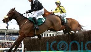 Mulholland may make Transmission switch to smaller obstacles