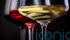 8 must-try wines which left a lasting impression this year