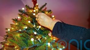 How late can I take my Christmas tree down?